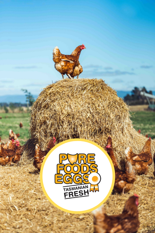 Pure Foods Eggs