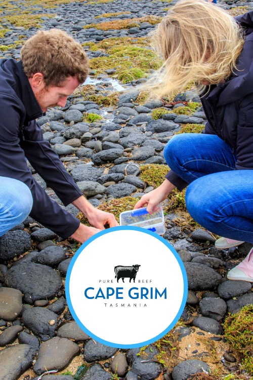 Cape Grim Beef