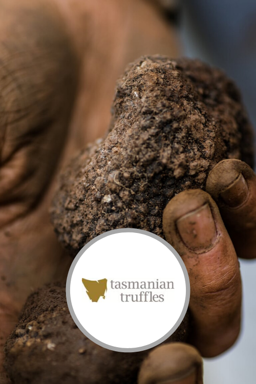 Join the hunt for black truffles & lunch